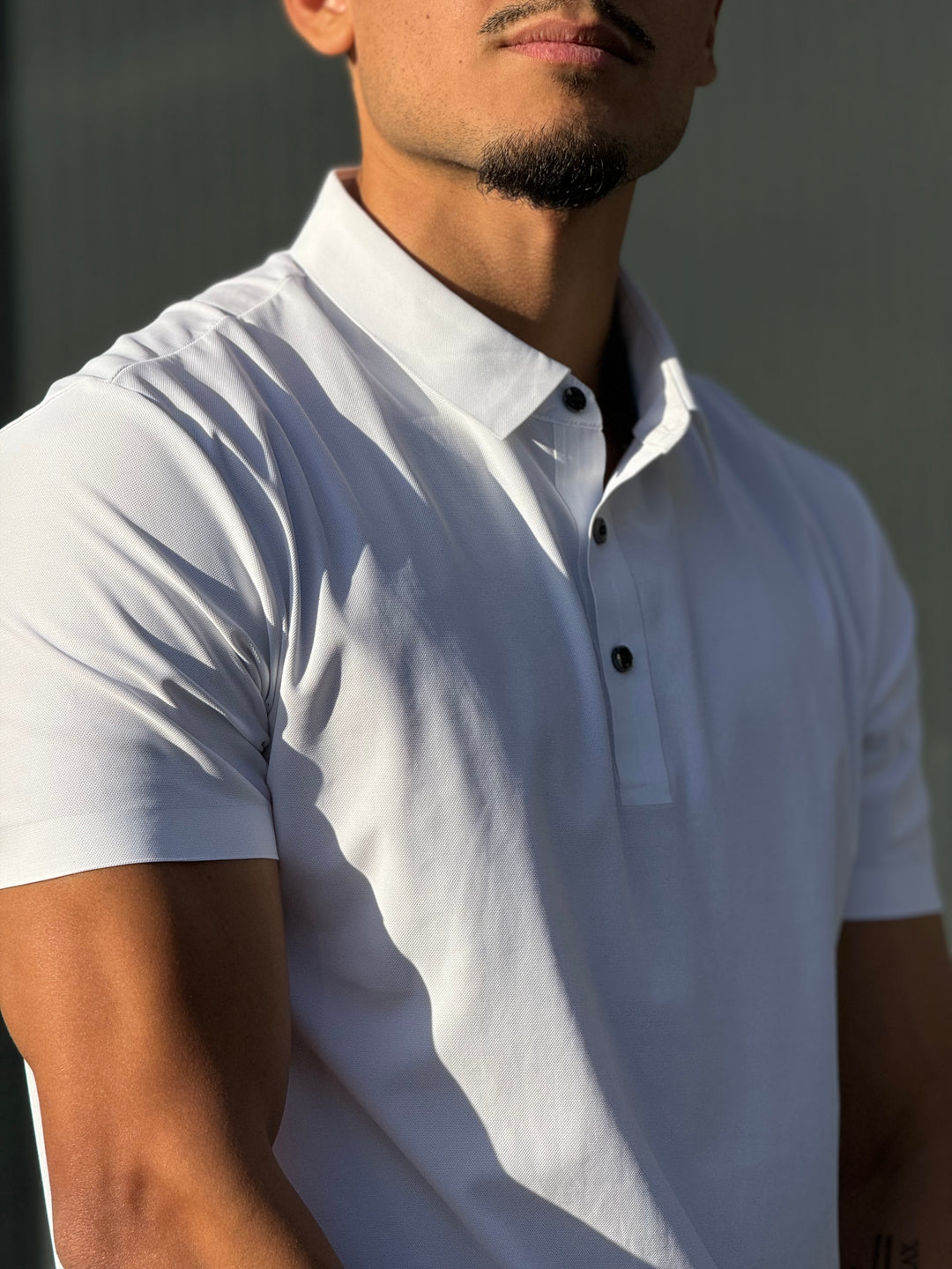 Polo Mister Homme